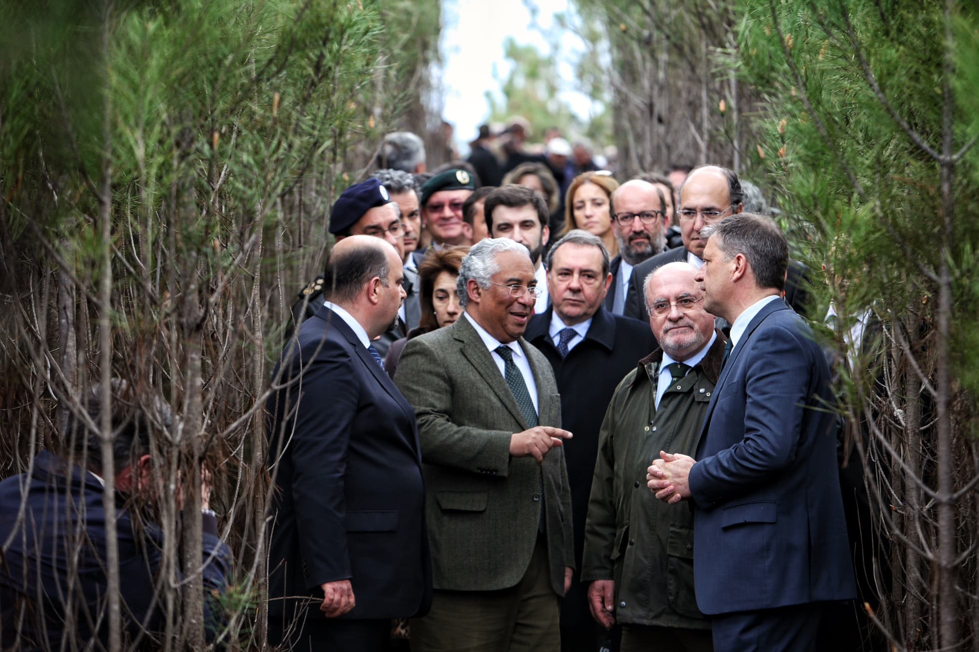 Dia da Floresta, 21 março 2016