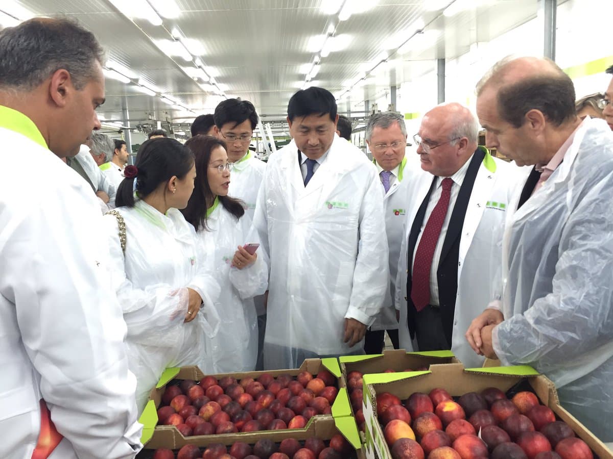 Exportações agroalimentares, 13 julho 2016