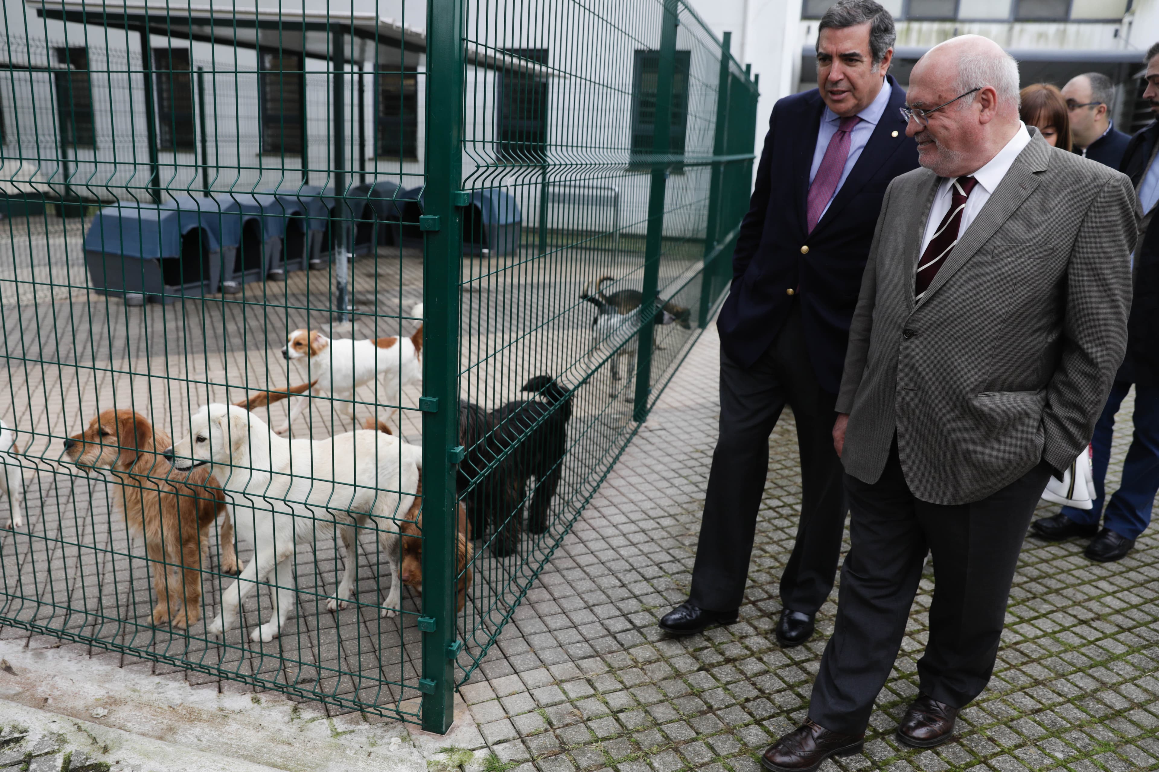 Ministro da Agricultura, Florestas e Desenvolvimento Rural, Luís Capoulas Santos, durante uma visita às instalações da Casa dos Animais, Lisboa, 29 março 2018 (Foto: Tiago Petinga/Lusa)