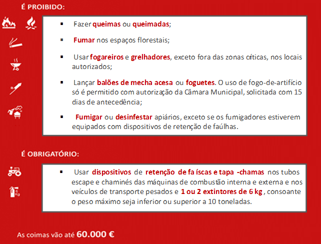 Regras a cumprir no período de risco de incêndio
