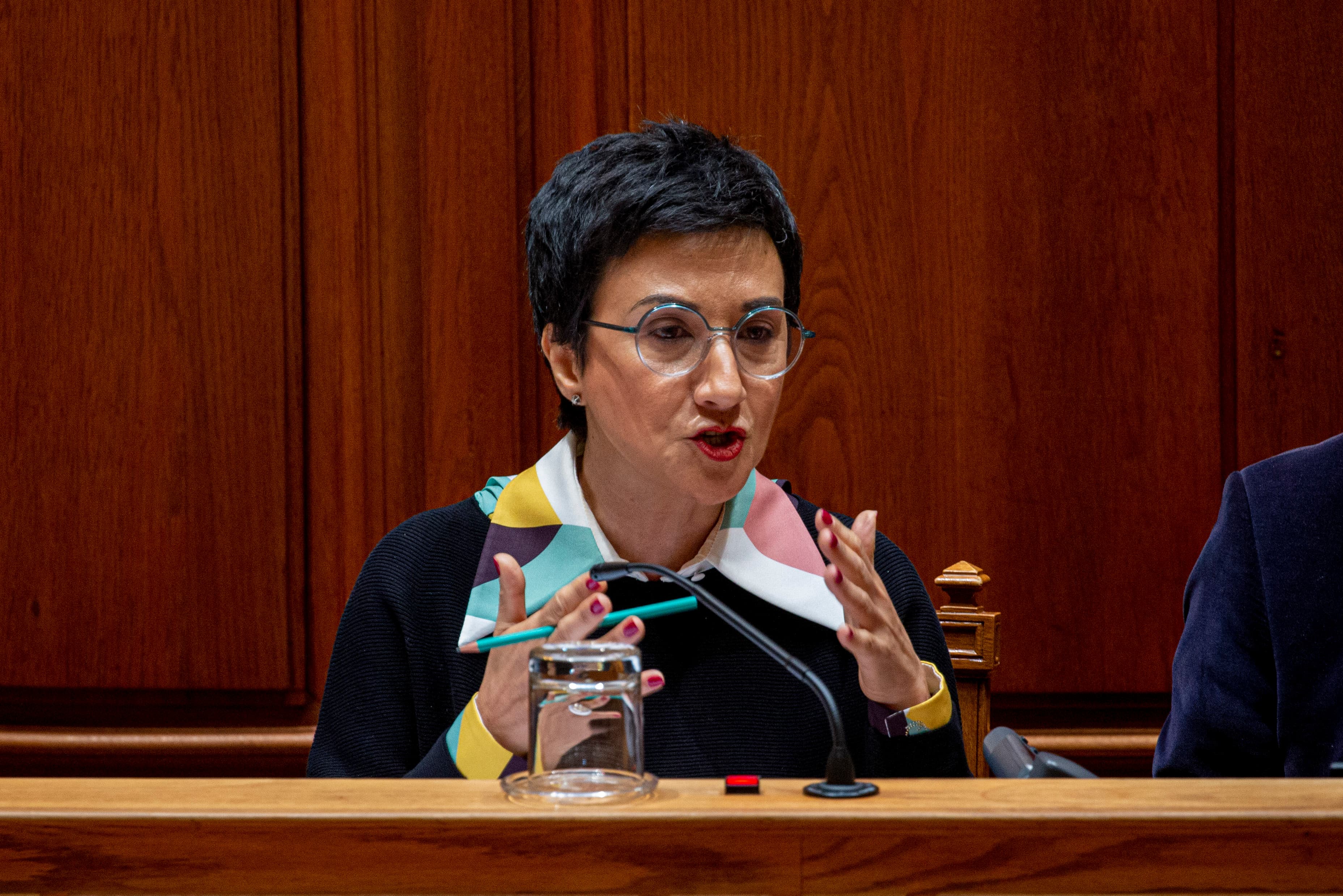 Ministra da Agricultura, Maria do Céu Antunes