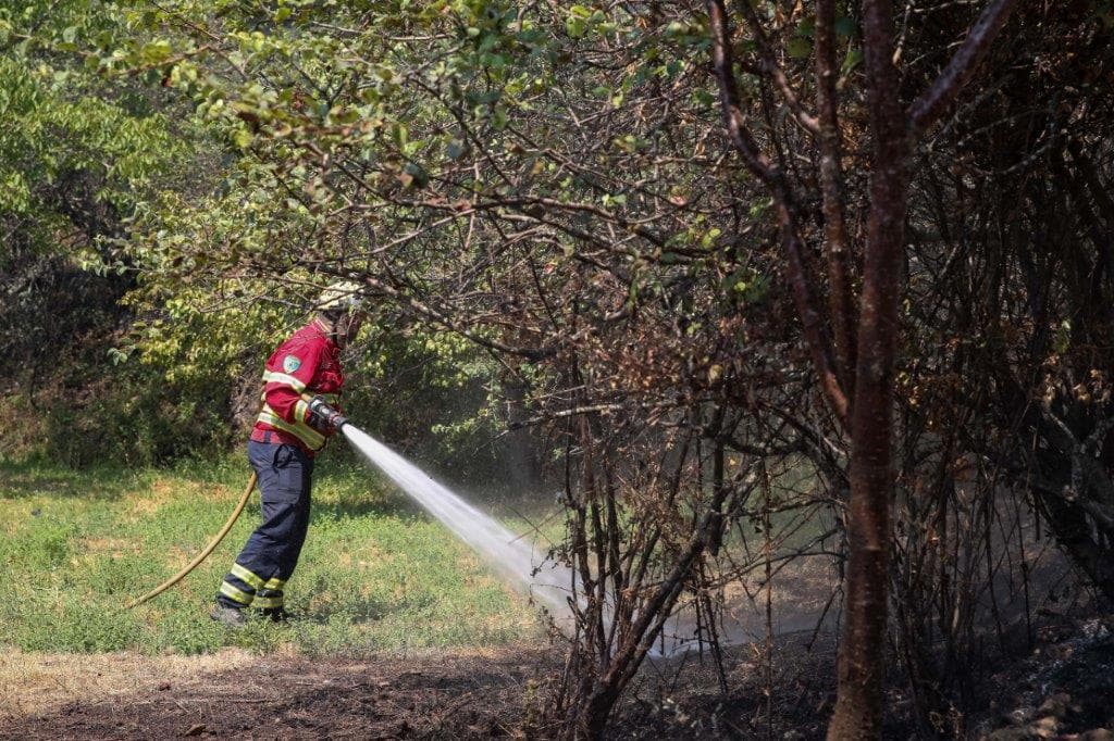 Rescaldo de incêndio, Oleiros, 27 julho 2020 (foto: Paulo Novais/Lusa)