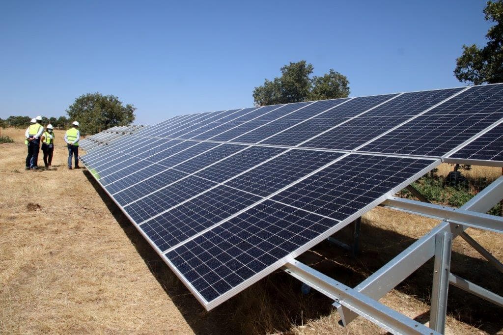Central fotovoltaica (Foto: Francisco Pinto/Lusa)