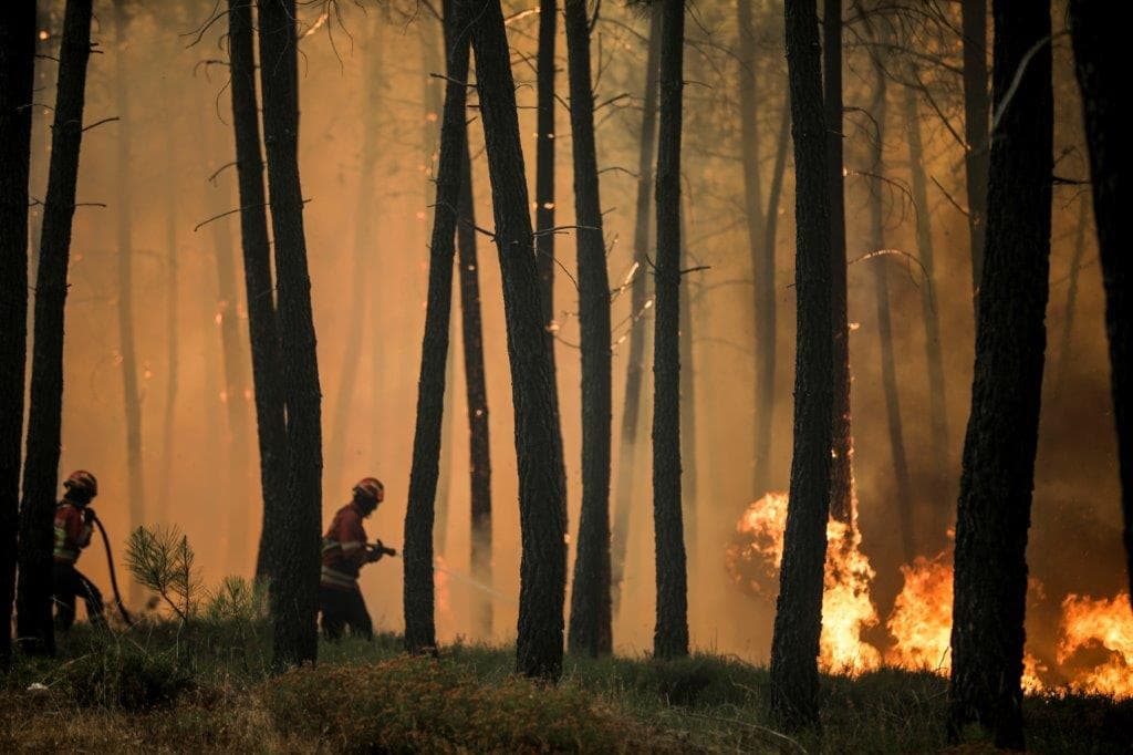 Incêndio florestal, Oleiros, 26 julho 2020 (foto: Paulo Cunha/Lusa)