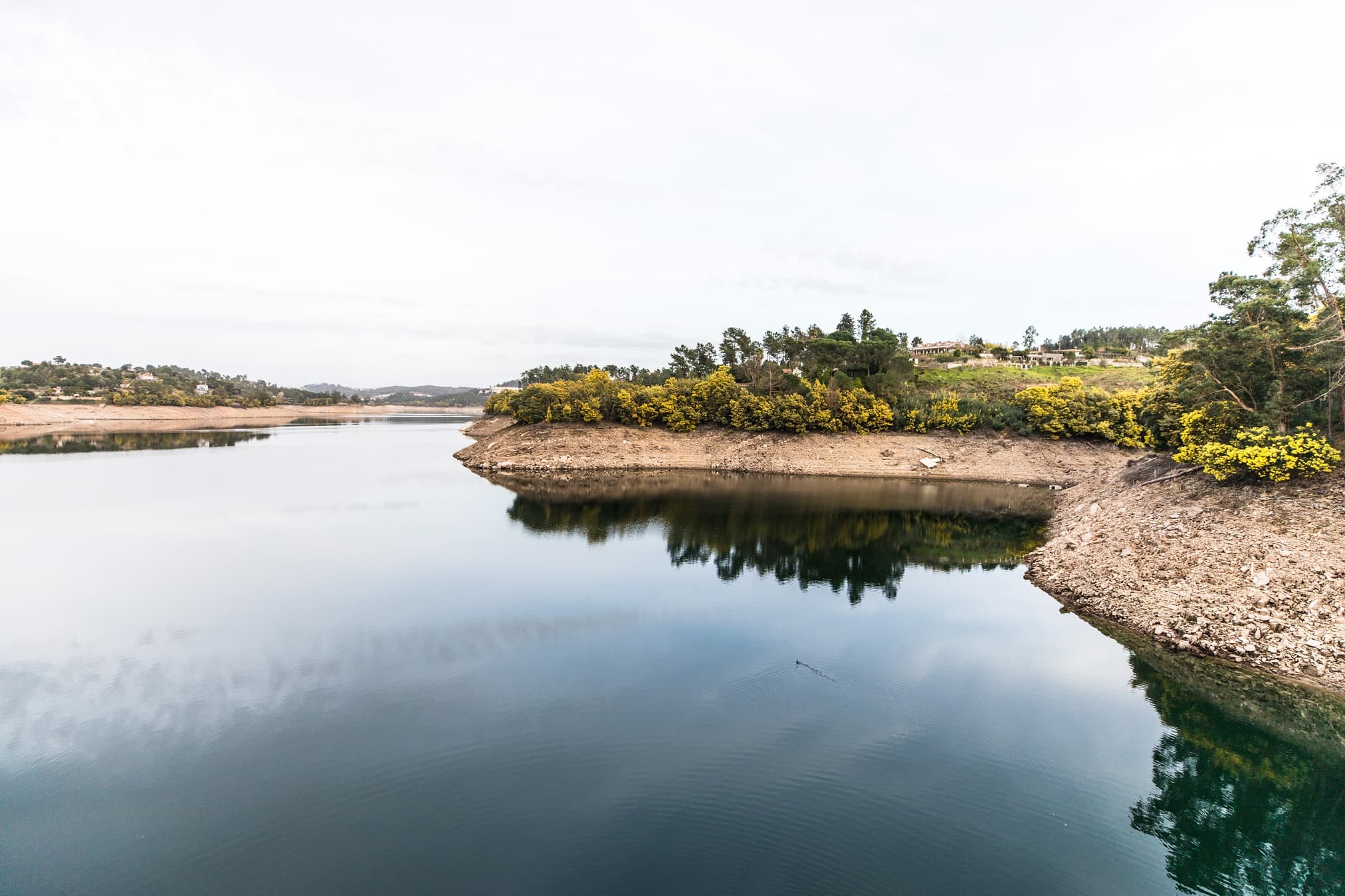 Barragem Castelo de Bode, 11 fevereiro 2022 (foto: João Bica)