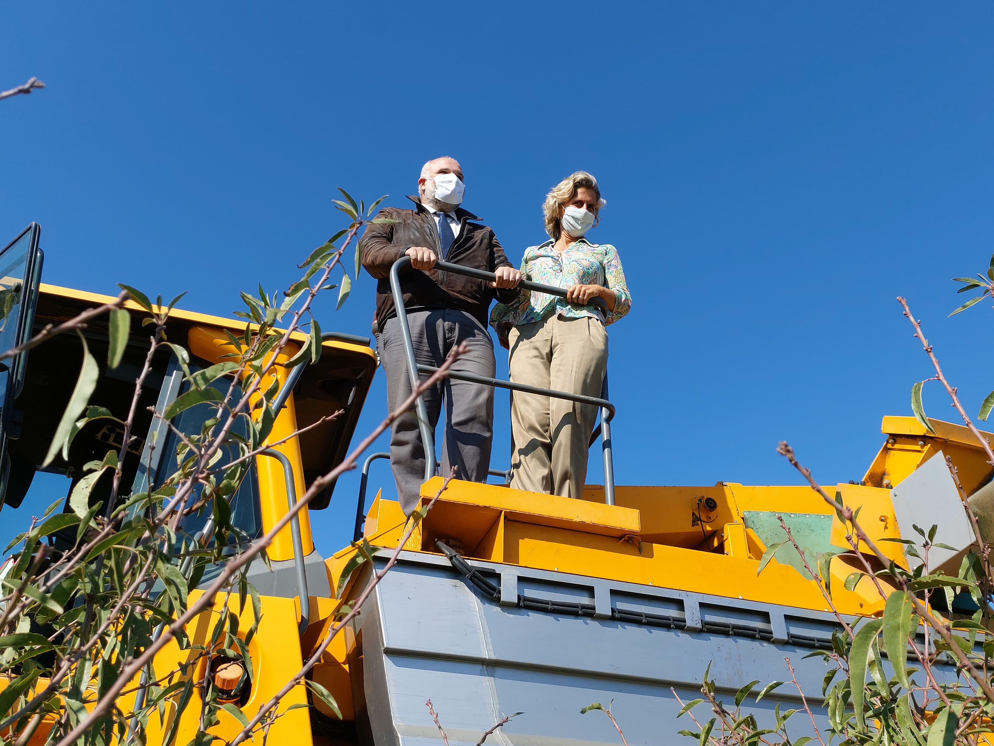 Ministra da Coesão Territorial, Ana Abrunhosa, visita plantação de amendoeiras da empresa Vera Cruz, Fundão, 7 outubro 2020