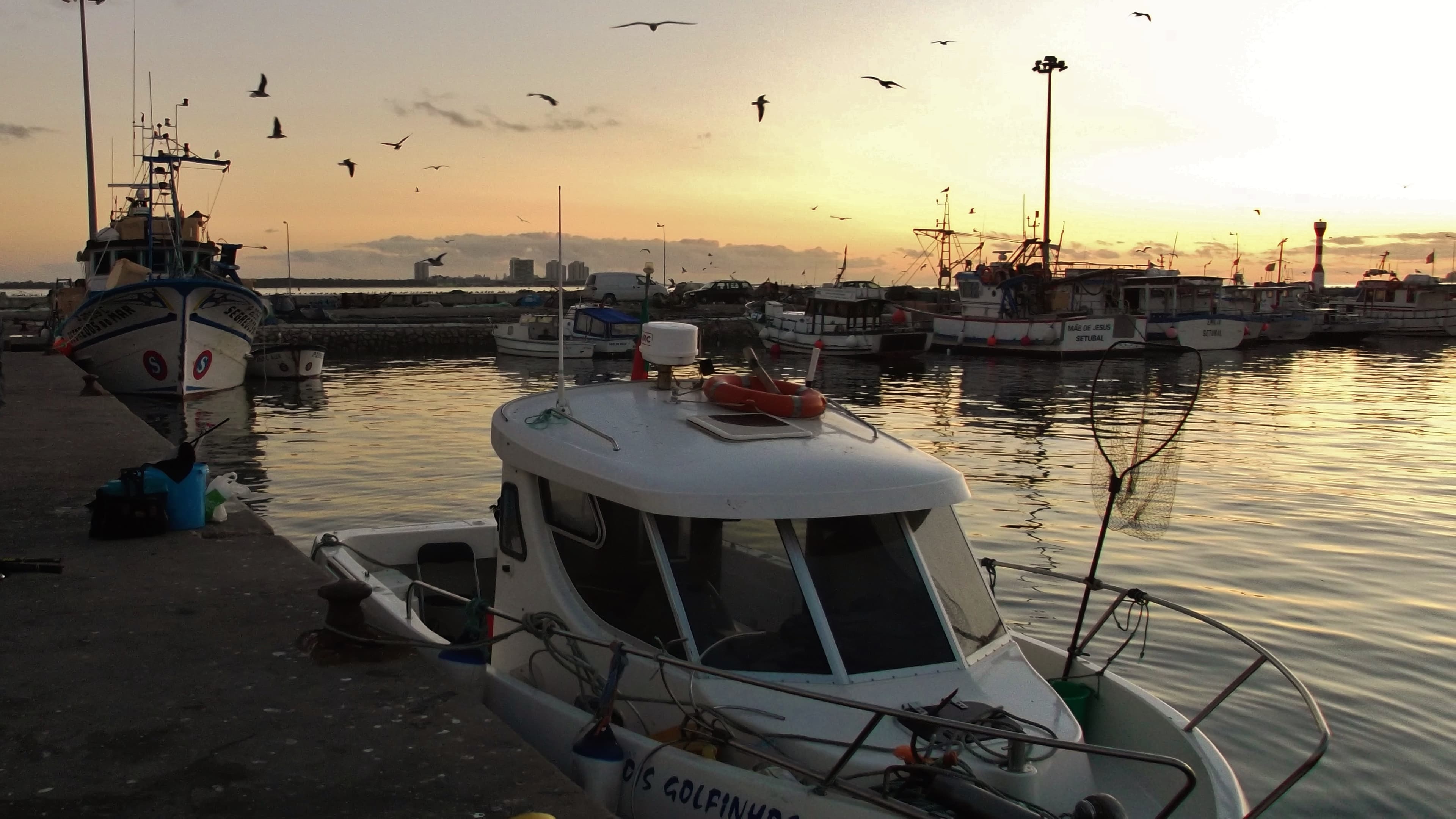 Imagem de pescas