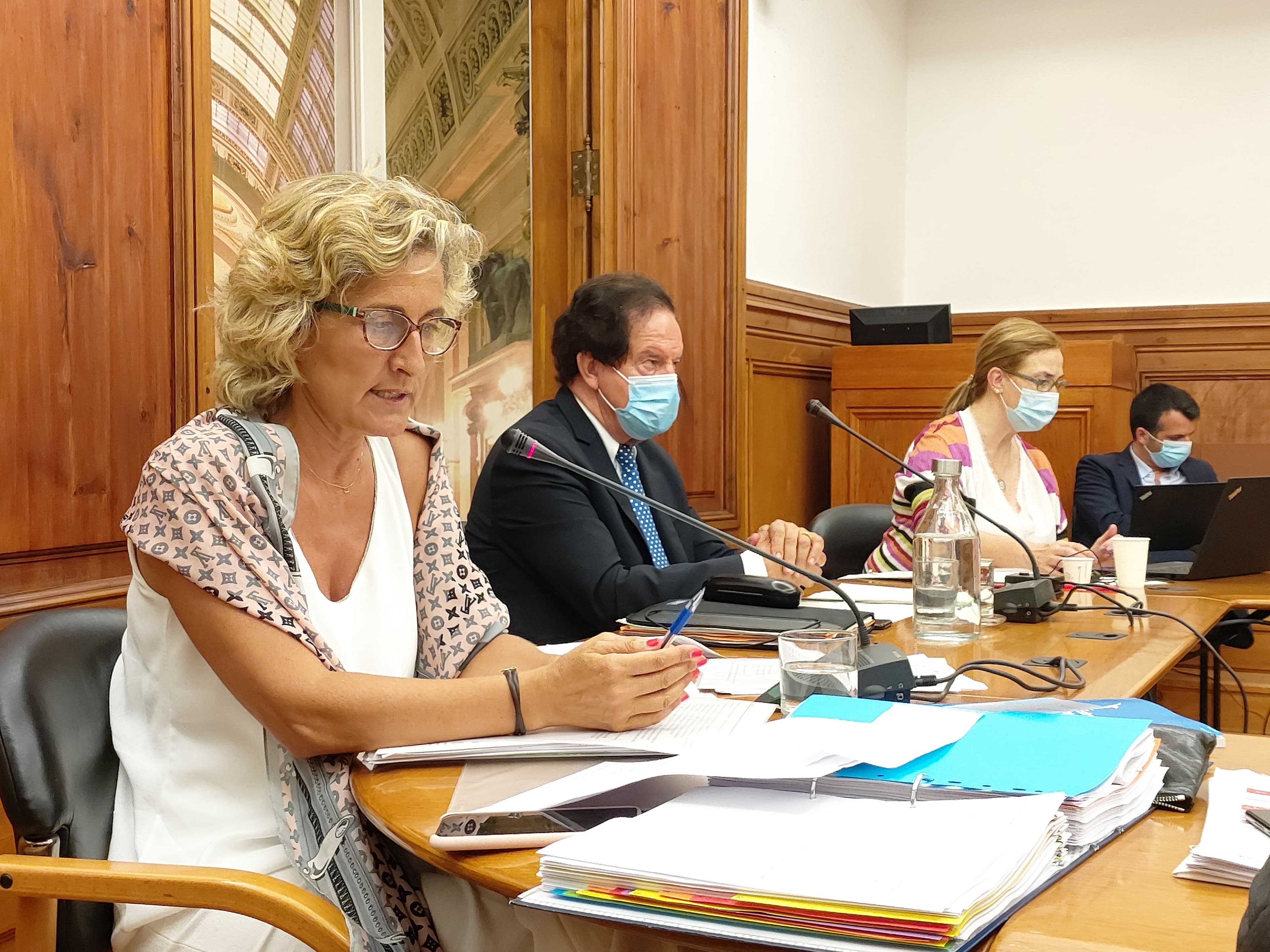 Ministra da Coesão Territorial, Ana Abrunhosa, na audição da Comissão de Administração Pública, Modernização Administrativa, Descentralização e Poder Local, Lisboa, 21 julho 2020