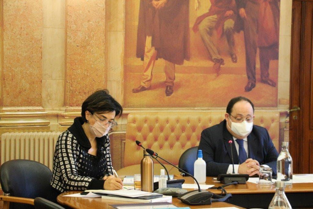 Ministra da Agricultura, Maria do Céu Antunes, na audição na Comissão de Agricultura e Mar, Assembleia da República, 20 janeiro 2021