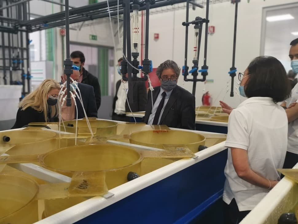 Ministro do Mar, Ricardo Serrão Santos, e Secretária de Estado das Pescas, Teresa Coelho, inauguram Centro Biomarinho, Nazaré, 13 abril 2021