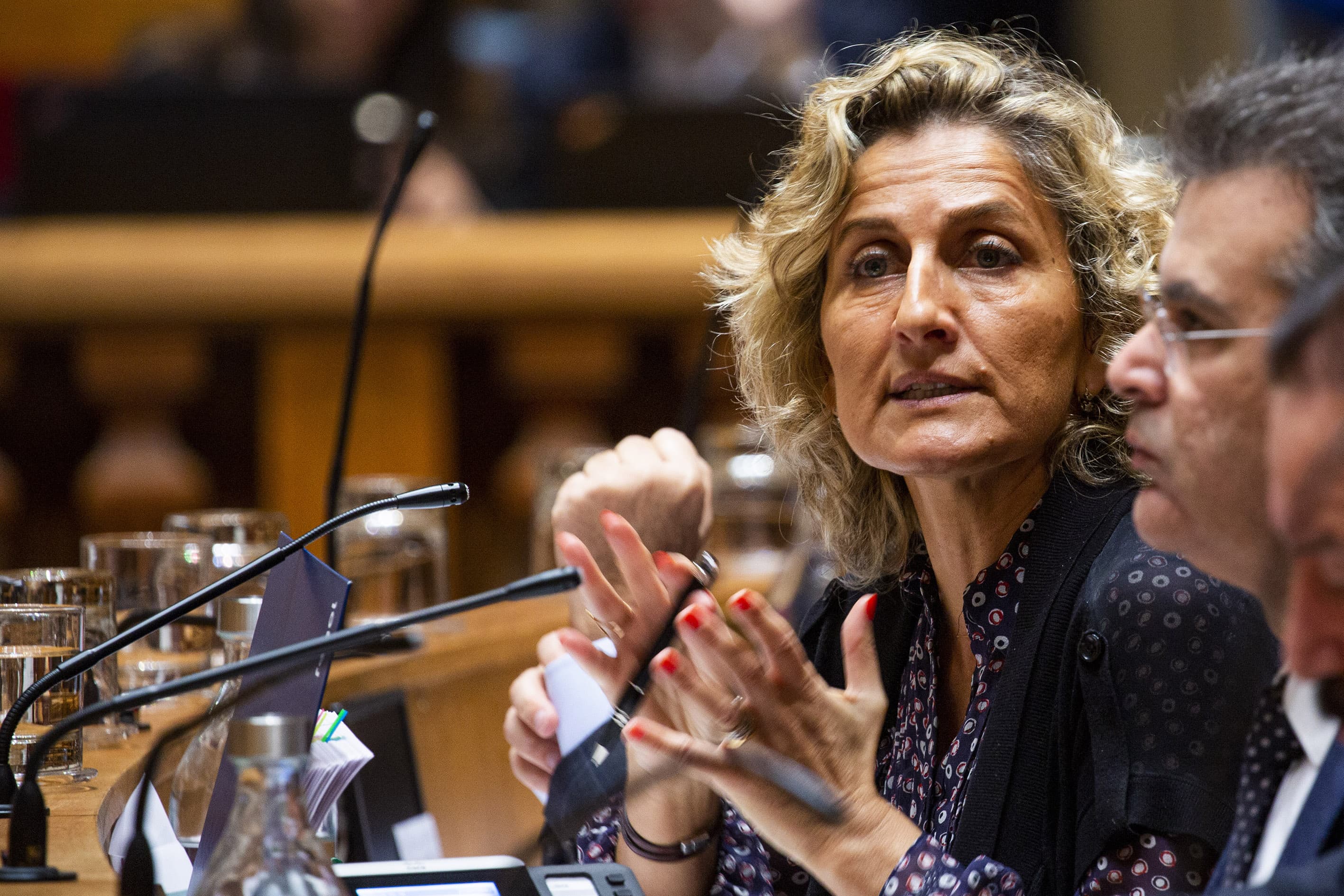 Ministra da Coesão Territorial, Ana Abrunhosa, durante o debate na especialidade do Orçamento do Estado para 2020, Lisboa, 24 janeiro 2020