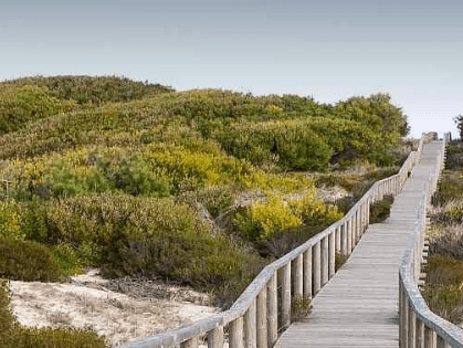 Reserva Natural das Dunas de São Jacinto, Aveiro