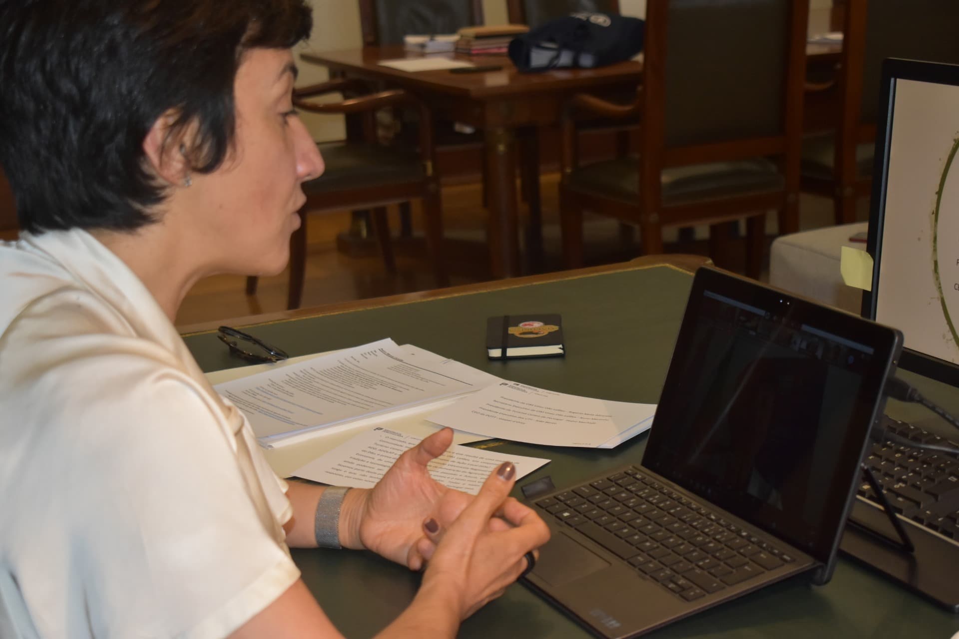 Ministra da Agricultura, Maria do Céu Antunes