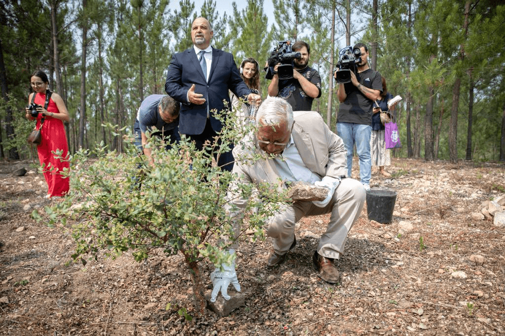 O Primeiro-Ministro visitou as faixas de gestão de combustível no concelho de Mação. Foto: Paulo Vaz Henriques