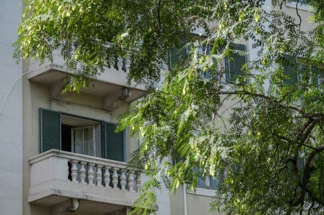 Docentes vão ter apoio extraordinário às rendas