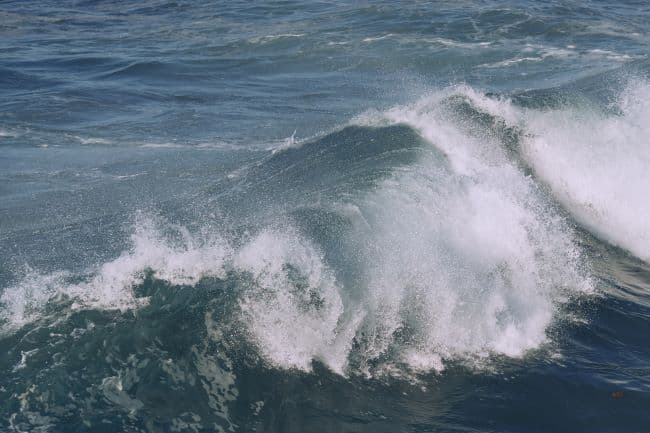 Portugal vai antecipar em quatro anos meta de proteção das áreas protegidas marinhas