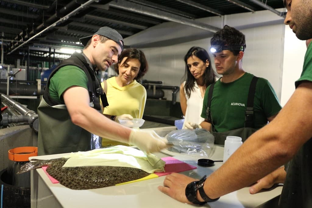 Ministra da Agricultura e da Alimentação, Maria do Céu Antunes, visita empresa de aquacultura, Mira, 4 julho 2022