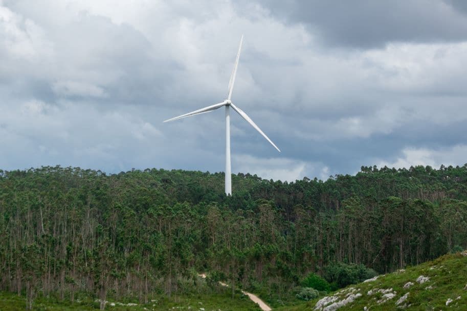 Governo tem a ambição de antecipar a meta da neutralidade carbónica de 2050 para 2045.