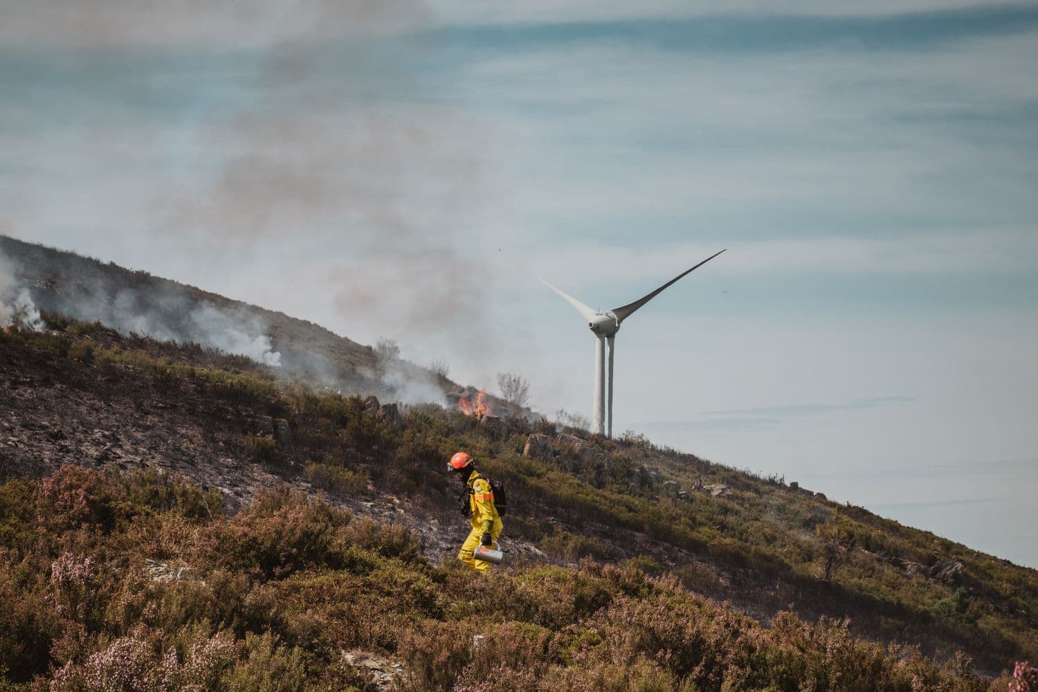 Medidas de apoio às populações afetadas pelos incêndios