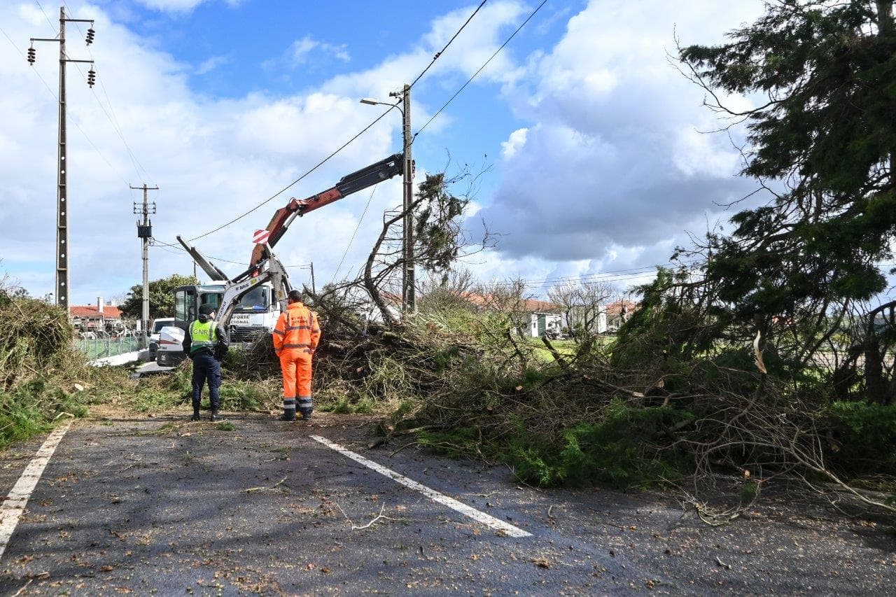 Funcionários retiram árvore caída sobre estrada devido à Depressão Martinho, Sobral de Monte Agraço, 20 março 2025 (foto: Carlos Barroso/Lusa)