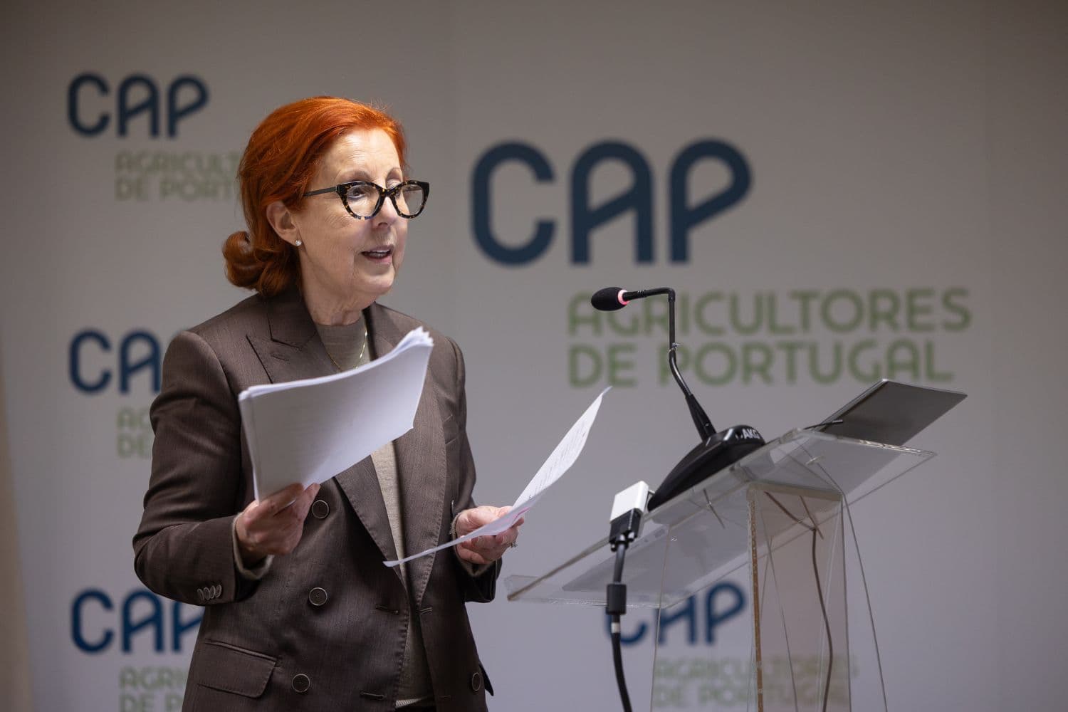 Ministra do Ambiente e Energia, Maria da Graça Carvalho, na conferência