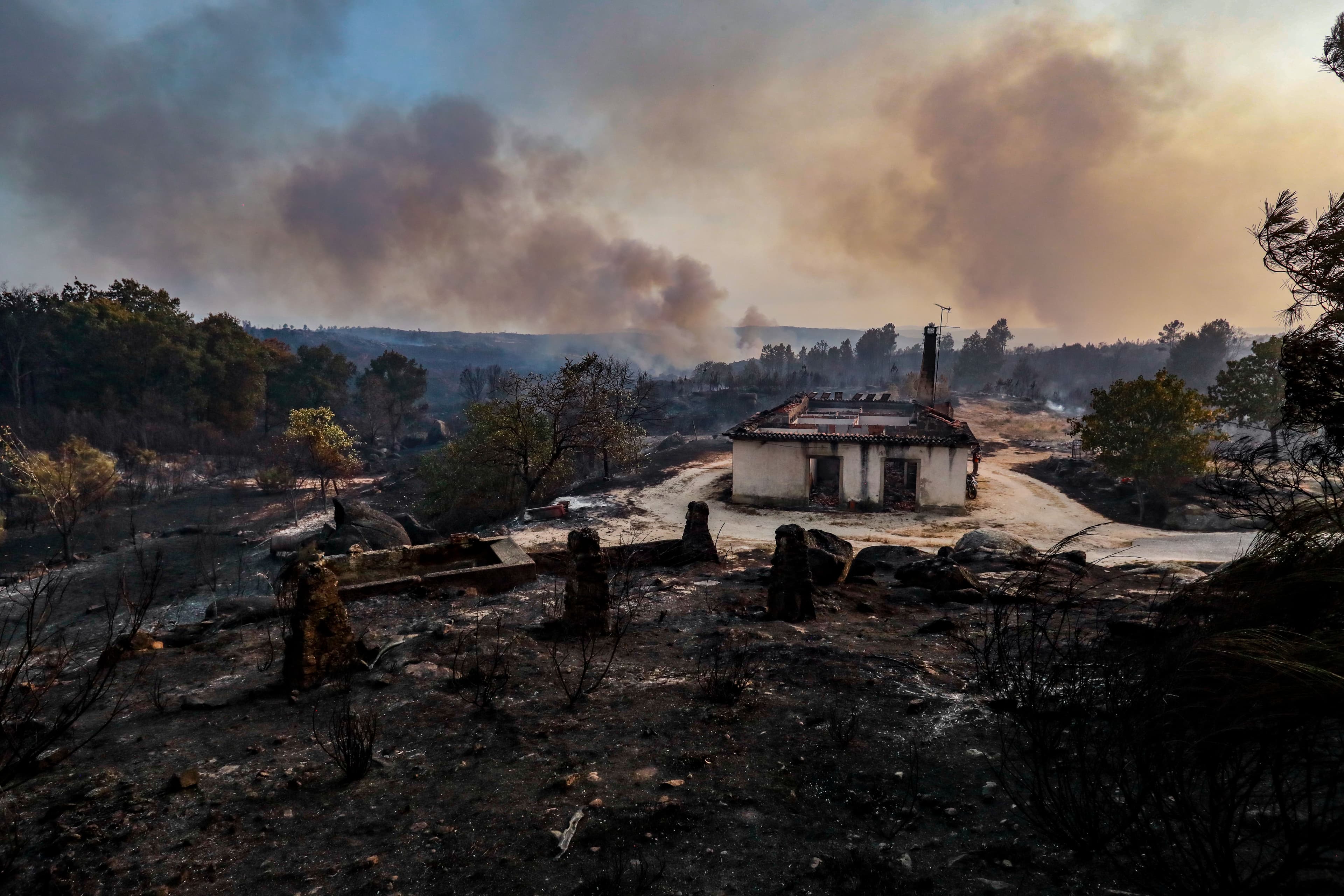 Área ardida durante o incêndio de grandes proporções no concelho de Trancoso. (foto: Miguel Pereira da Silva/ Lusa)