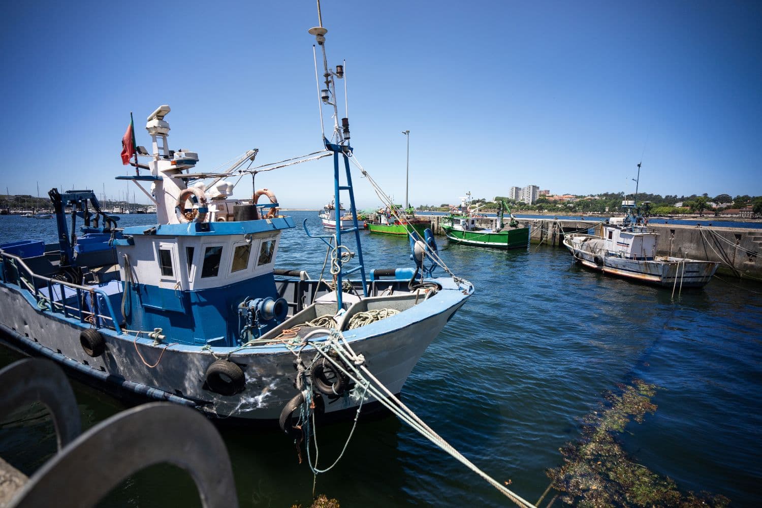 Embarcação de Pesca