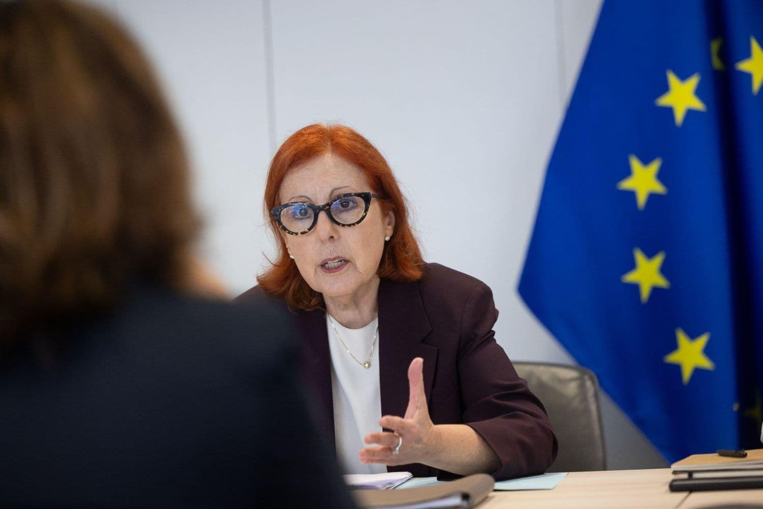 Ministra do Ambiente e Energia, Maria da Graça Carvalho, em Bruxelas, 24 de fevereiro de 2026 (Sara Matos / MAEN)