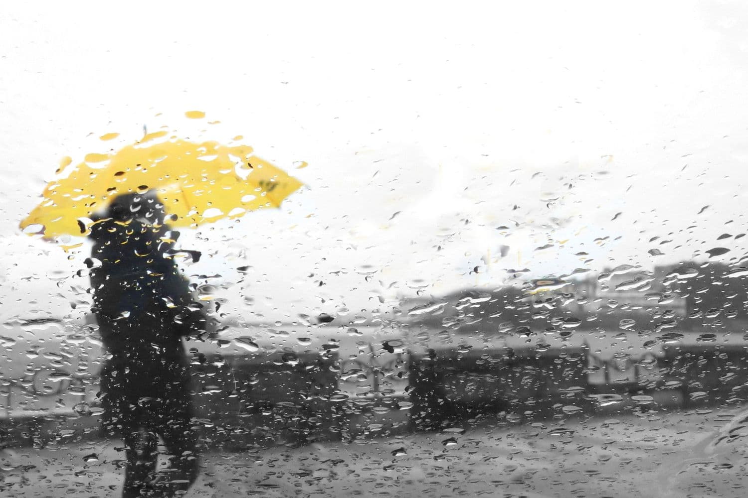 IPMA coloca distritos de Portugal continental sob aviso amarelo até 1 de outubro, devido à previsão de precipitação intensa e vento forte