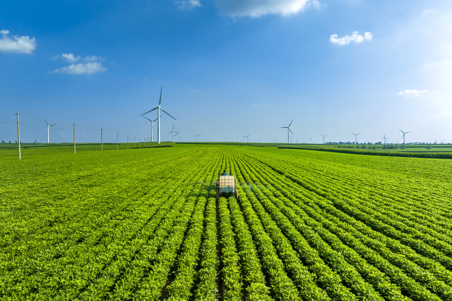 Produção agrícola