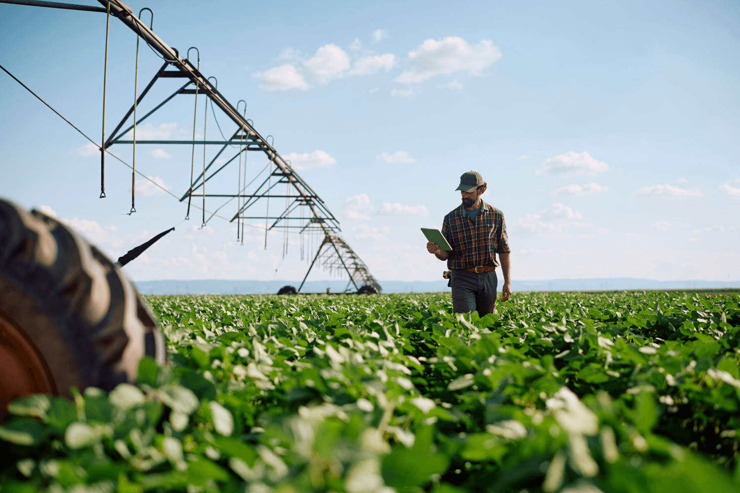 Agricultura portuguesa beneficia de novos apoios para compensar o aumento dos custos de produção, incluindo fertilizantes, energia e combustíveis.