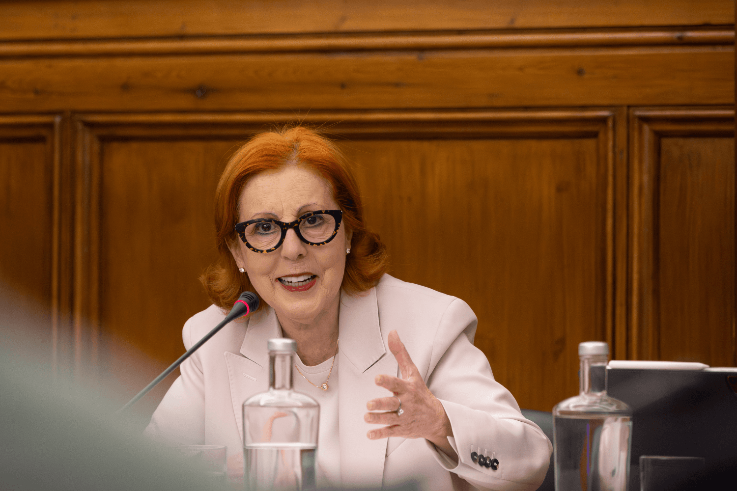 Ministra do Ambiente e Energia, Maria da Graça Carvalho, na audição regimental na Assembleia da República, Lisboa, 5 de maio de 2026 (Sara Matos/MAEN)