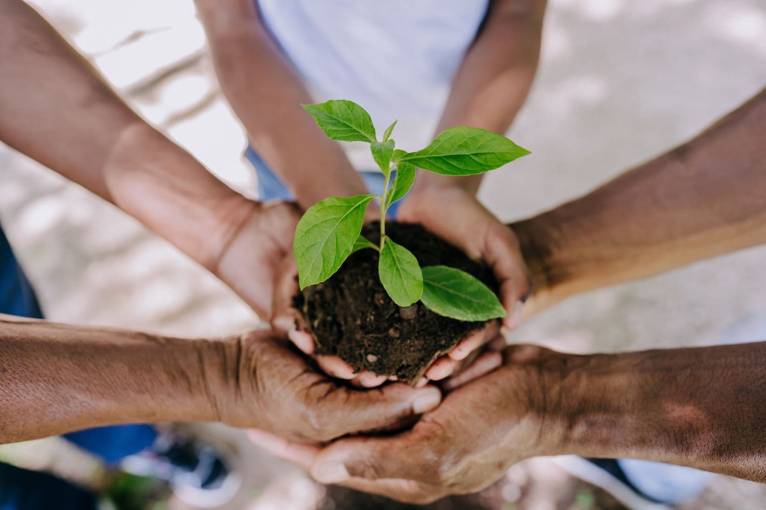 A proteção da natureza terá um investimento de 3 milhões de euros, correspondente a 18 projetos de cogestão de áreas protegidas, de norte a sul do país.