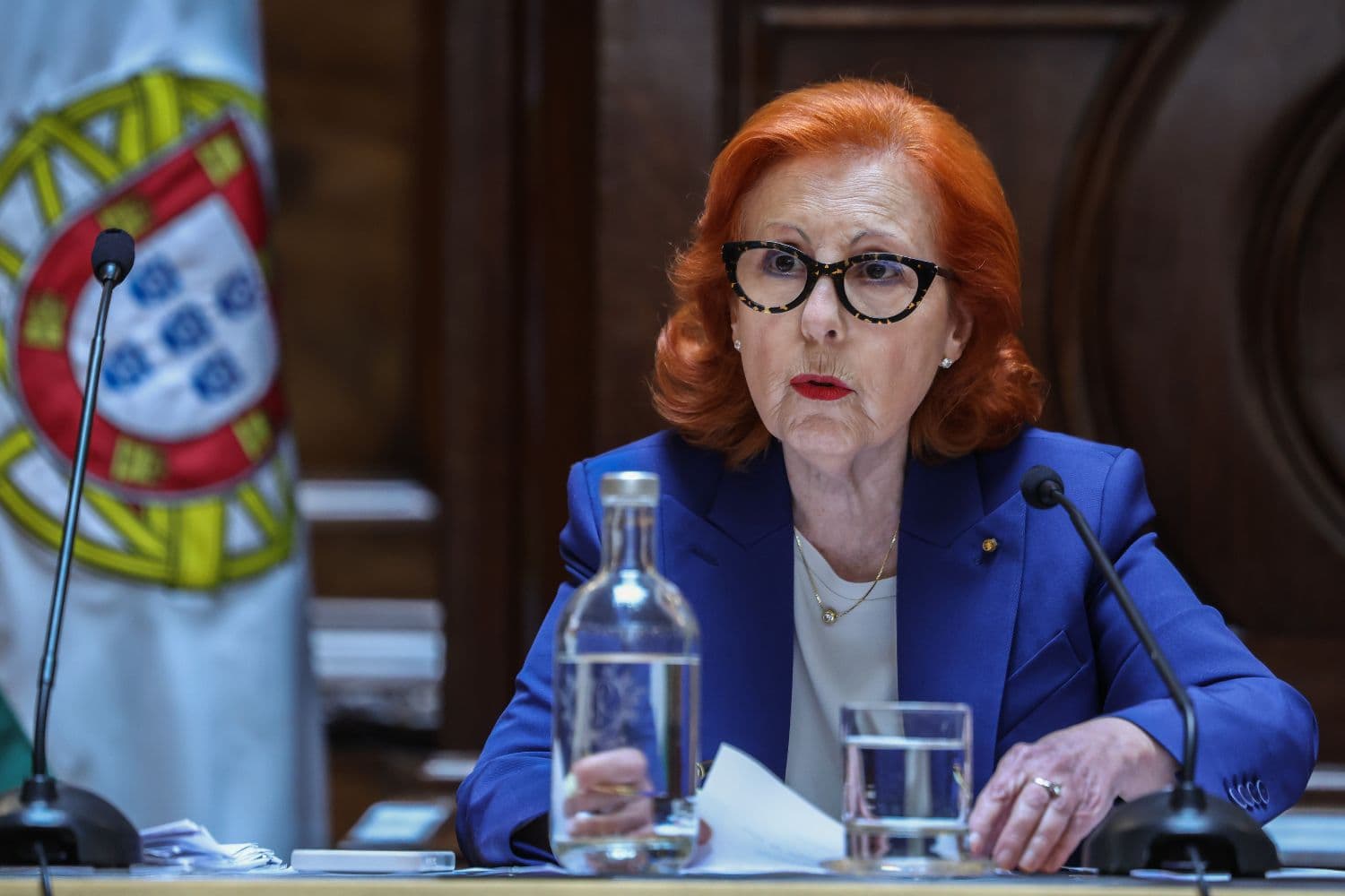 Ministra do Ambiente e Energia, Maria da Graça Carvalho, na Assembleia da República, 15 de abril de 2026 (Tiago Petinga/LUSA)
