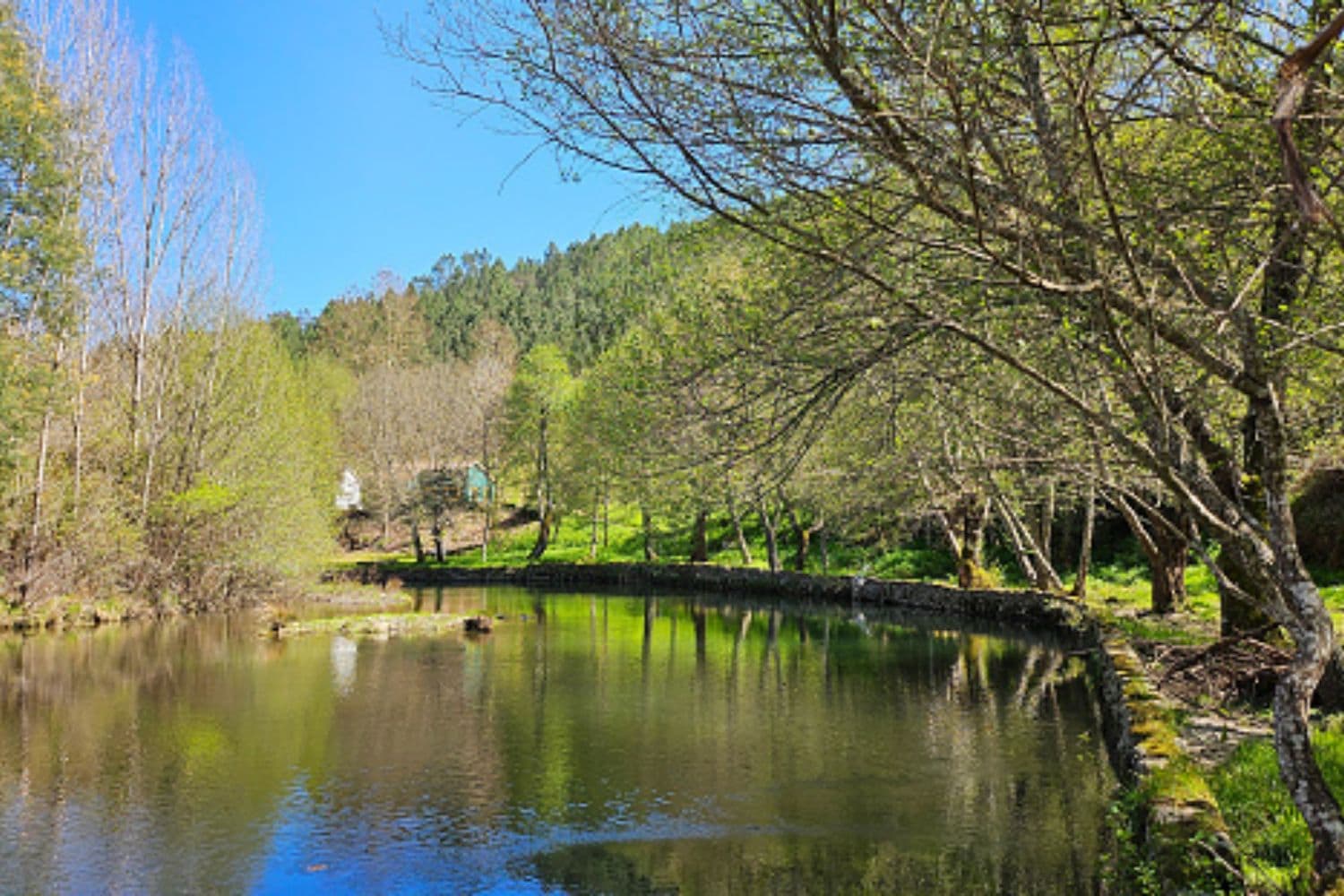 Rios e ribeiras