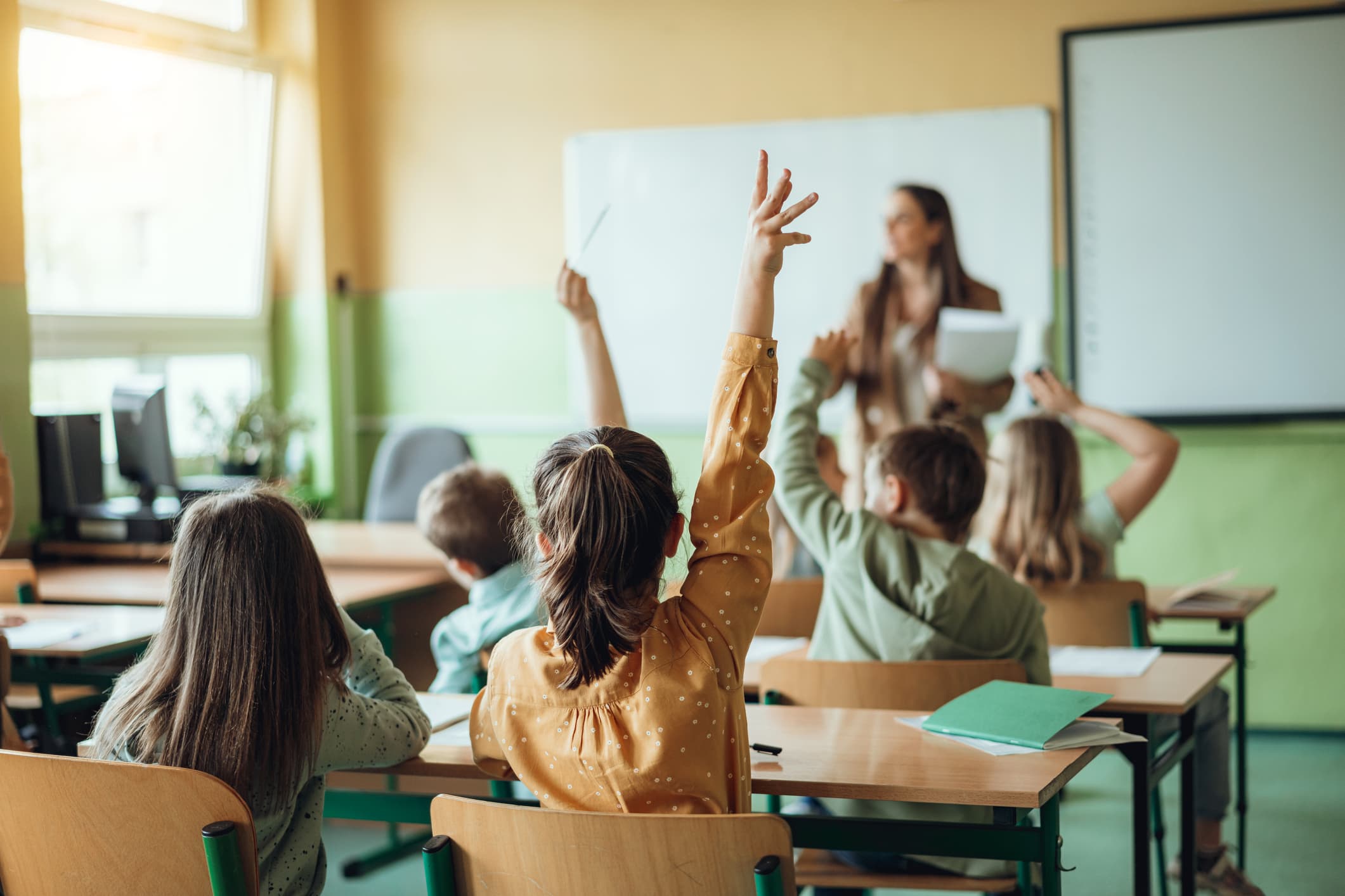 Ensino Básico e Secundário