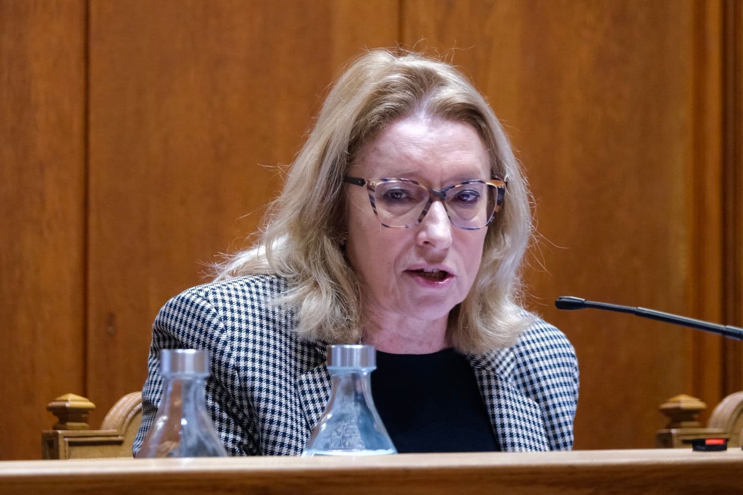 Ministra do Trabalho, Solidariedade e Segurança Social, Maria do Rosário Palma Ramalho, na Assembleia da República, Lisboa, 12 junho 2026 (Diana Quintela)